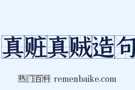 真赃真贼造句是什么意思的图片